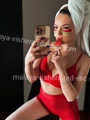 Мия — Малая Вишера